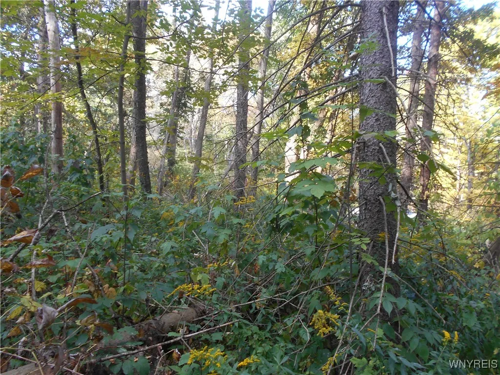 Irish Hill Road, Ellicottville, New York 14731, Ellicottville, New York 14731, ,Land,For Sale,Irish Hill Road, Ellicottville, New York 14731,0,B1646644