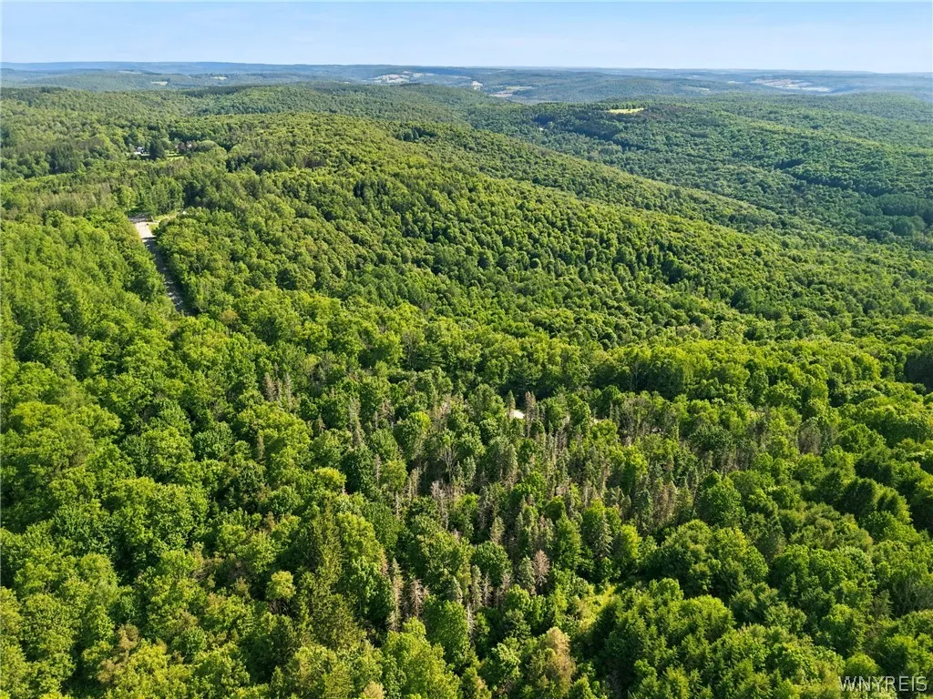 Irish Hill Road, Ellicottville, New York 14731, Ellicottville, New York 14731, ,Land,For Sale,Irish Hill Road, Ellicottville, New York 14731,0,B1646644