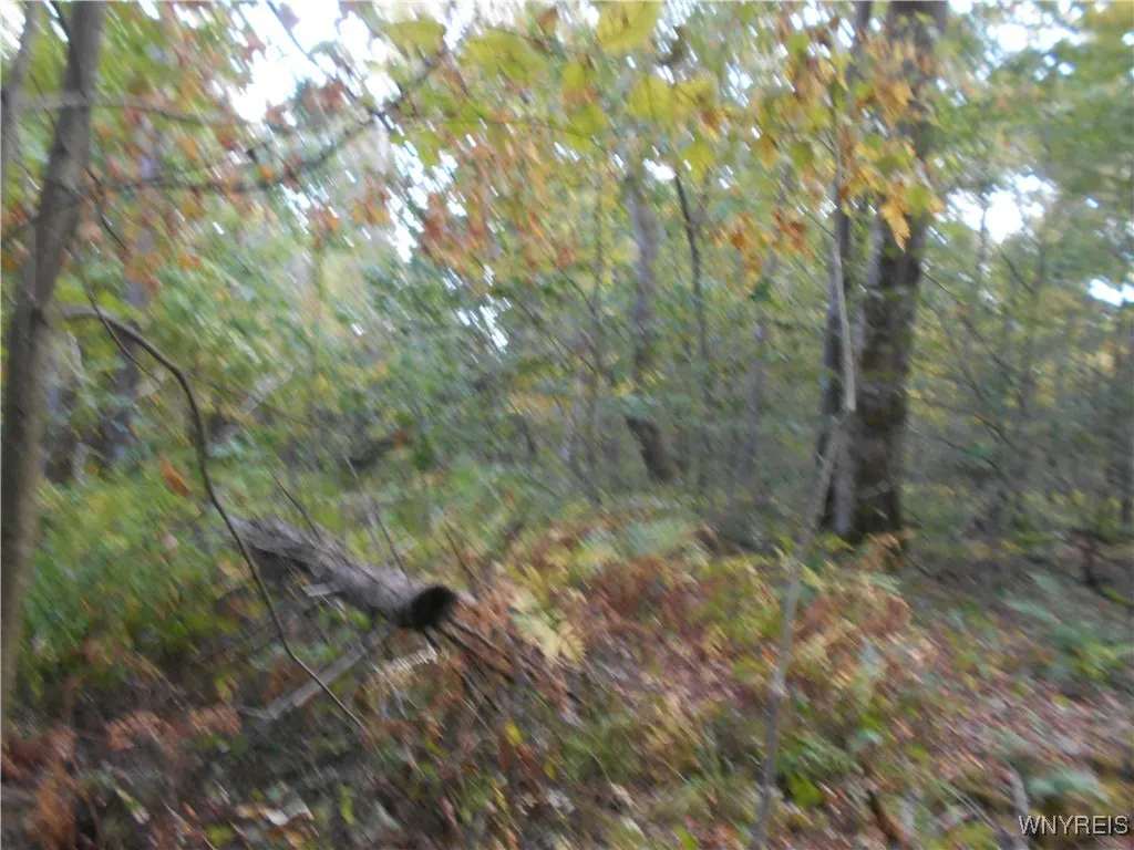 Irish Hill Road, Ellicottville, New York 14731, Ellicottville, New York 14731, ,Land,For Sale,Irish Hill Road, Ellicottville, New York 14731,0,B1646644