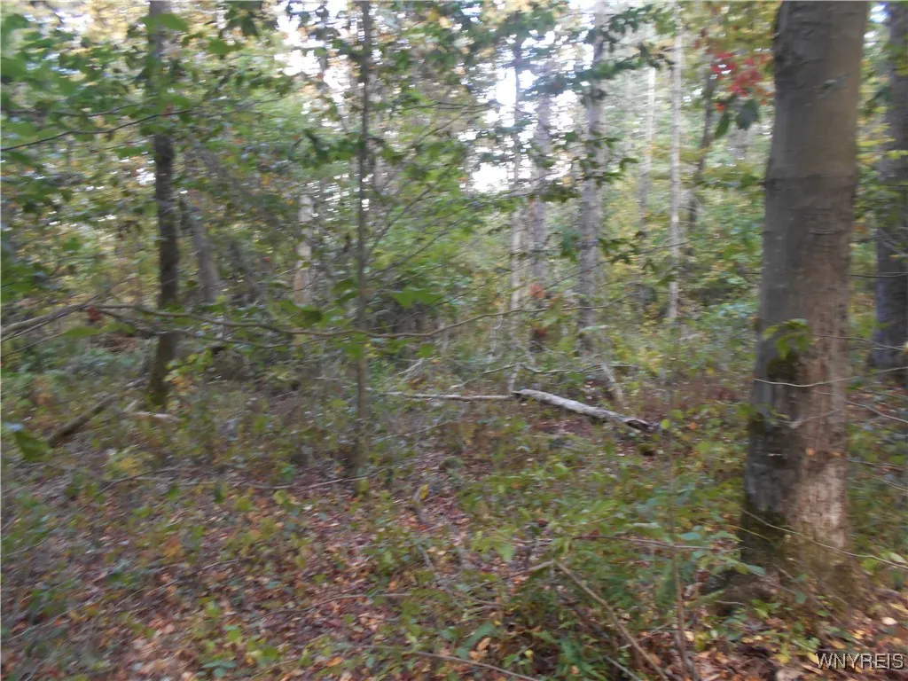 Irish Hill Road, Ellicottville, New York 14731, Ellicottville, New York 14731, ,Land,For Sale,Irish Hill Road, Ellicottville, New York 14731,0,B1646644