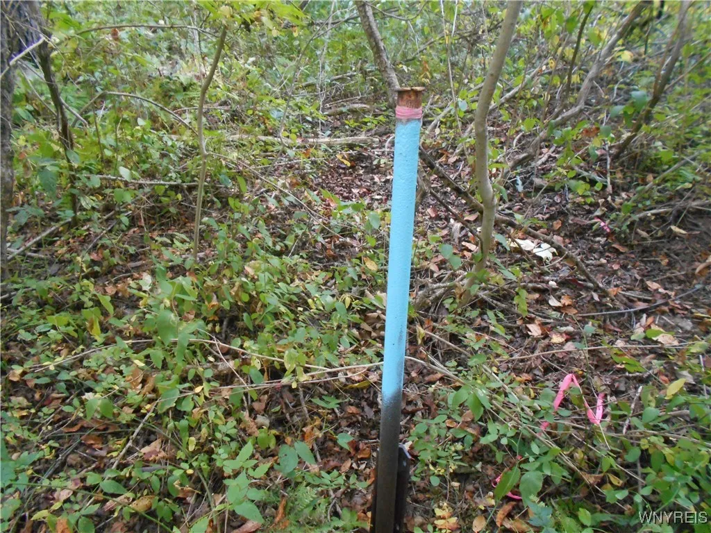 Irish Hill Road, Ellicottville, New York 14731, Ellicottville, New York 14731, ,Land,For Sale,Irish Hill Road, Ellicottville, New York 14731,0,B1646644