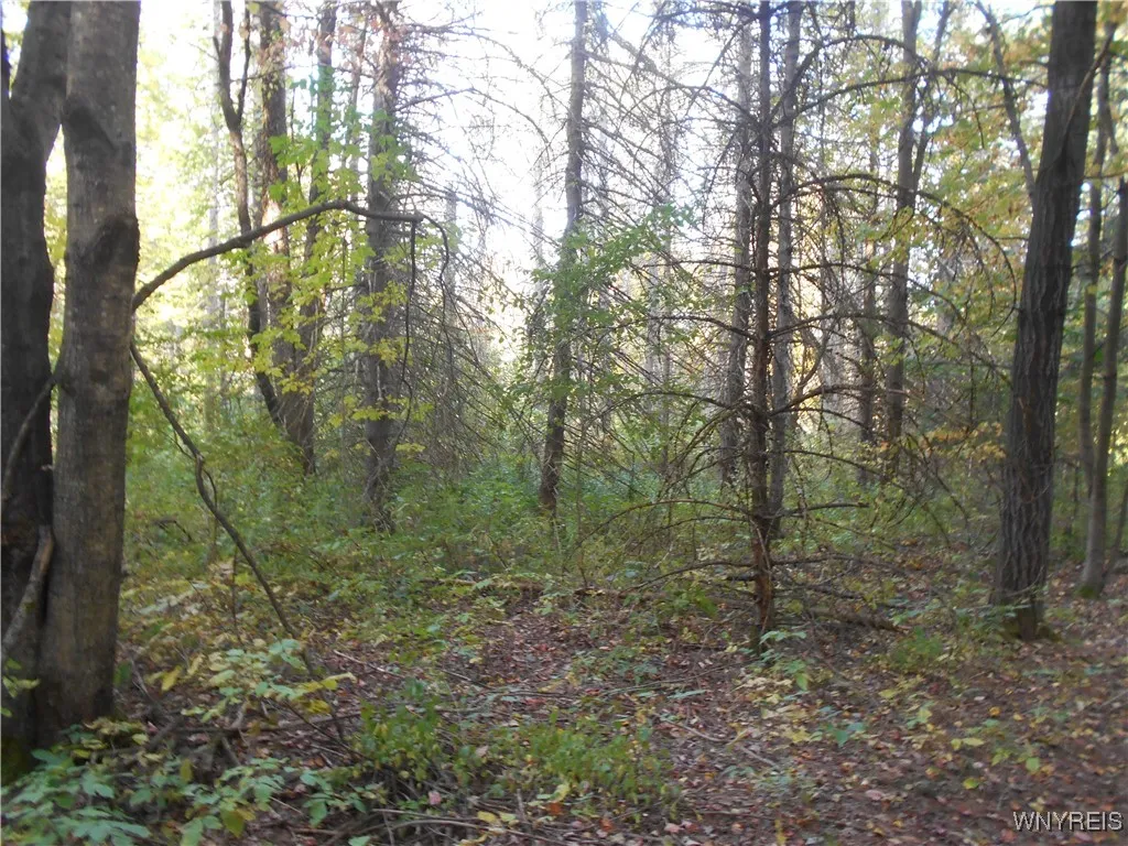 Irish Hill Road, Ellicottville, New York 14731, Ellicottville, New York 14731, ,Land,For Sale,Irish Hill Road, Ellicottville, New York 14731,0,B1646644