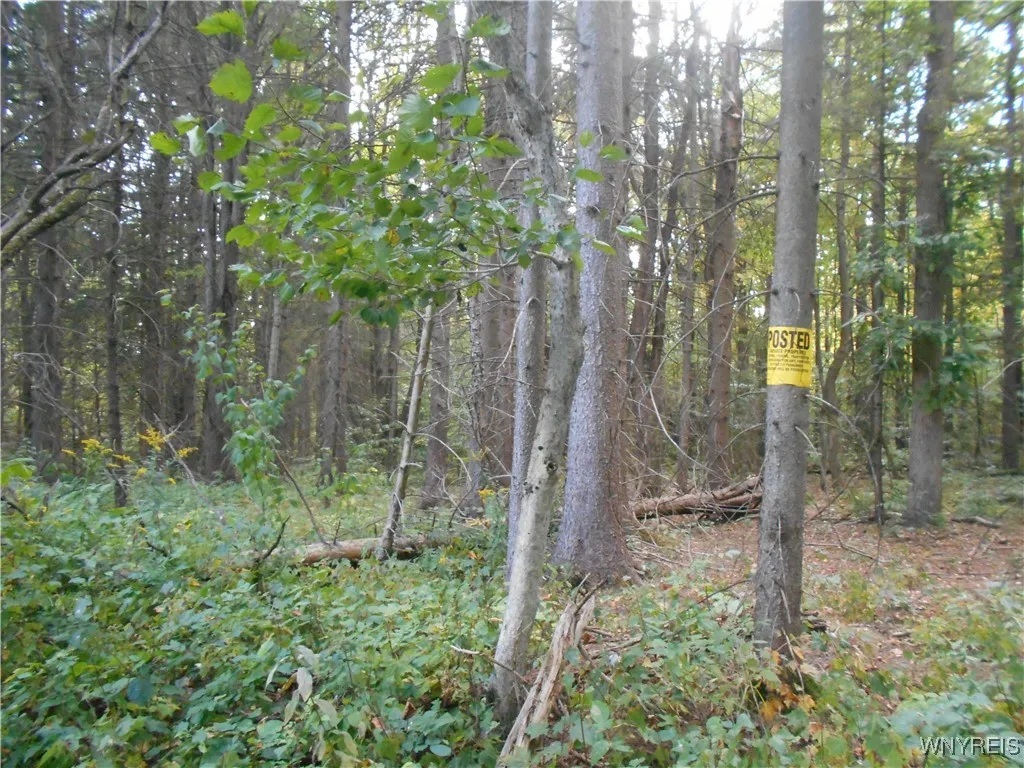 Irish Hill Road, Ellicottville, New York 14731, Ellicottville, New York 14731, ,Land,For Sale,Irish Hill Road, Ellicottville, New York 14731,0,B1646644