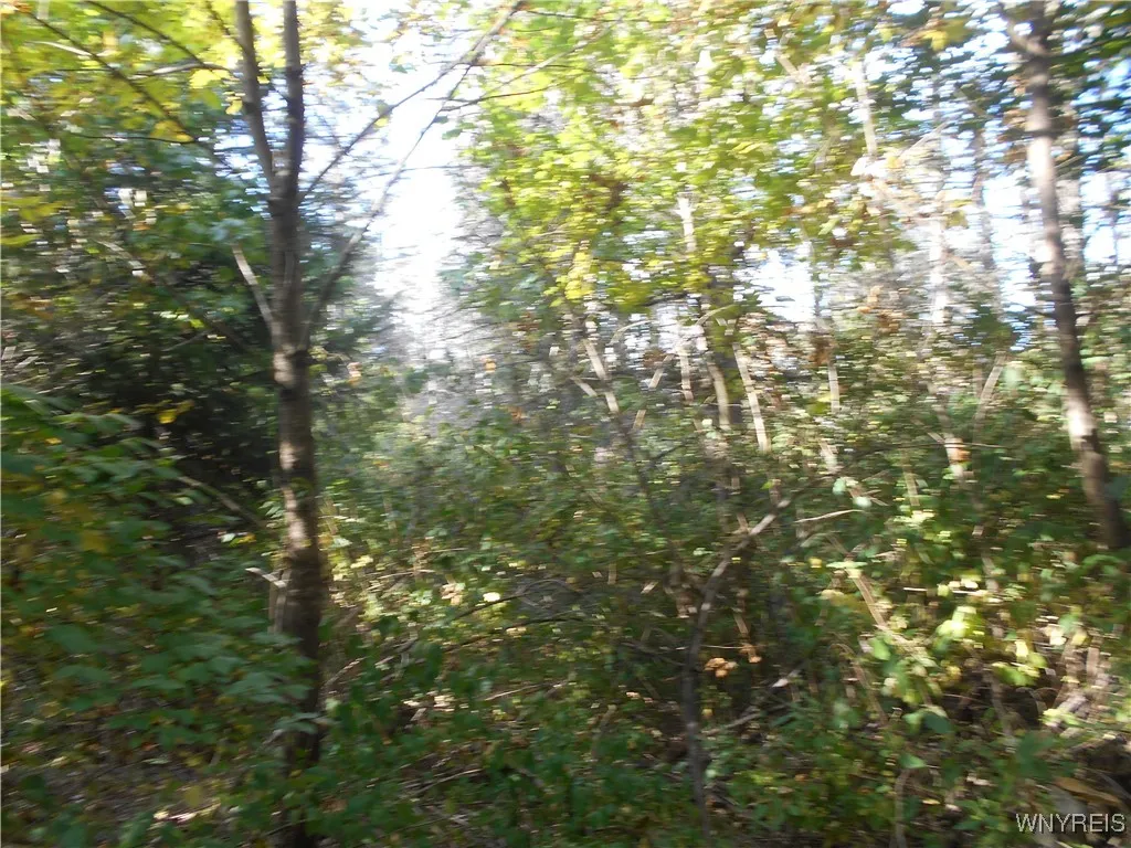 Irish Hill Road, Ellicottville, New York 14731, Ellicottville, New York 14731, ,Land,For Sale,Irish Hill Road, Ellicottville, New York 14731,0,B1646644