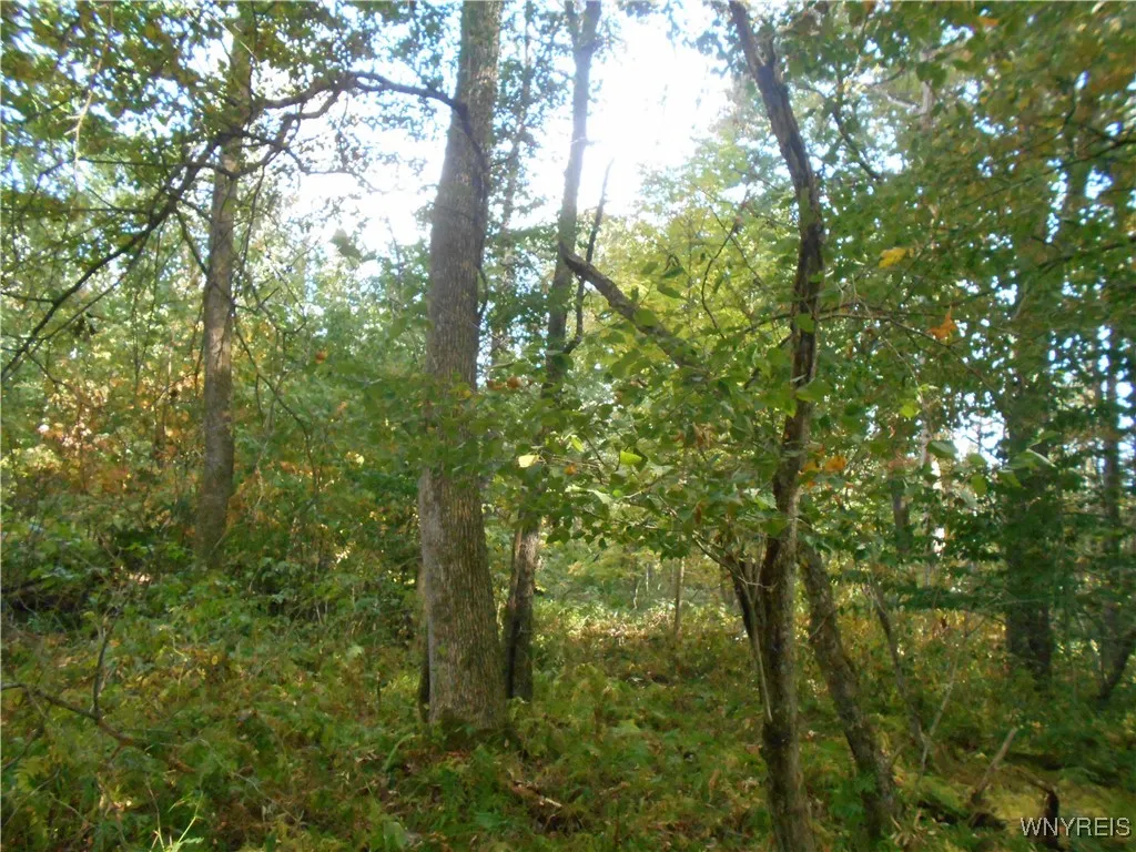 Irish Hill Road, Ellicottville, New York 14731, Ellicottville, New York 14731, ,Land,For Sale,Irish Hill Road, Ellicottville, New York 14731,0,B1646644