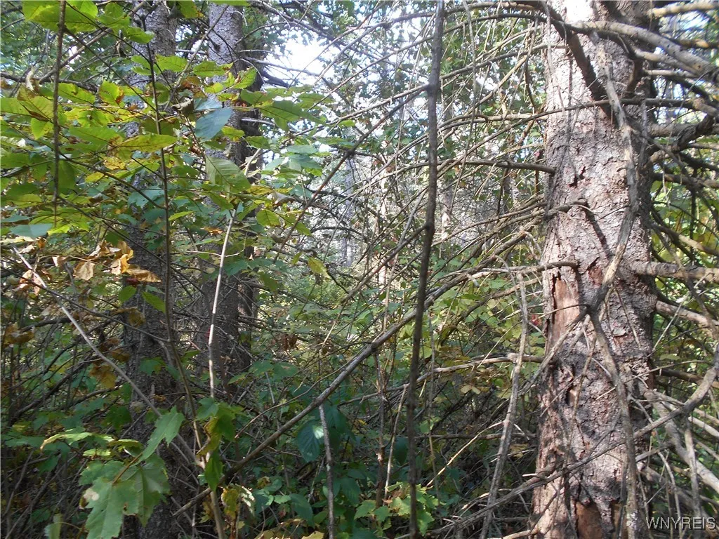 Irish Hill Road, Ellicottville, New York 14731, Ellicottville, New York 14731, ,Land,For Sale,Irish Hill Road, Ellicottville, New York 14731,0,B1646644