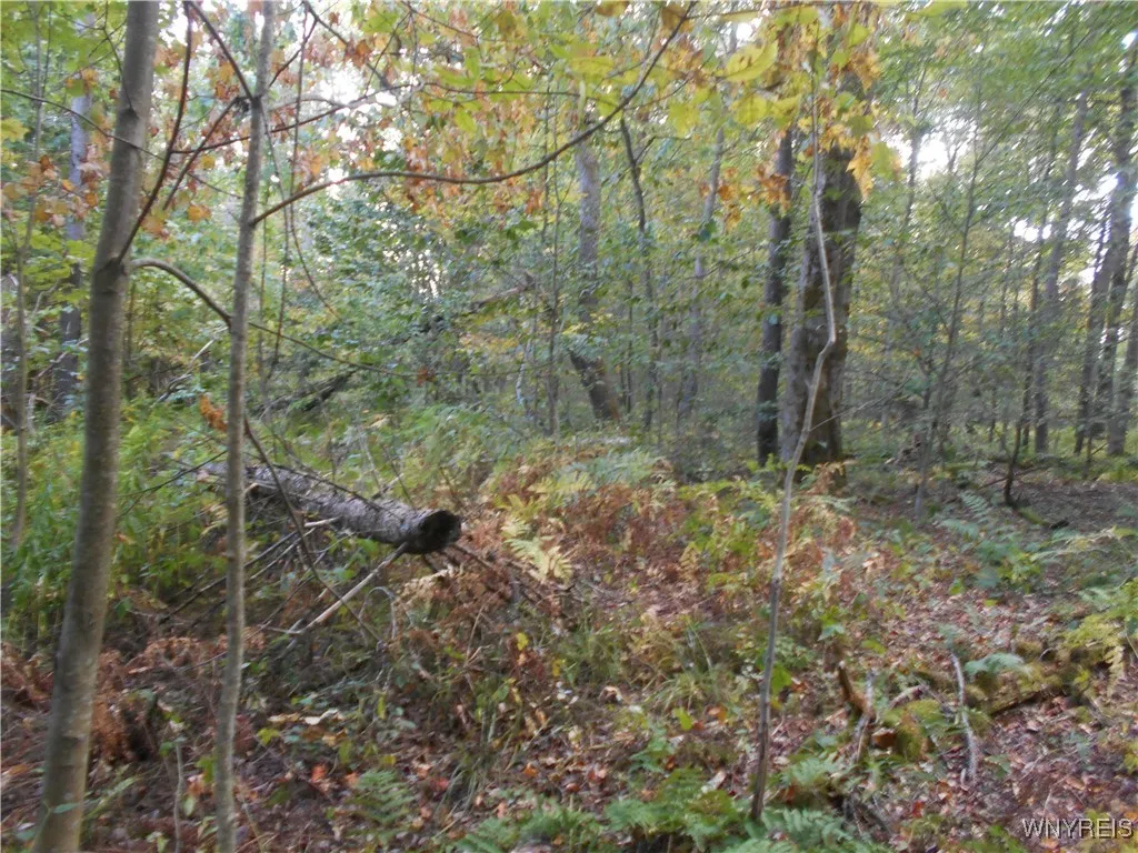 Irish Hill Road, Ellicottville, New York 14731, Ellicottville, New York 14731, ,Land,For Sale,Irish Hill Road, Ellicottville, New York 14731,0,B1646644