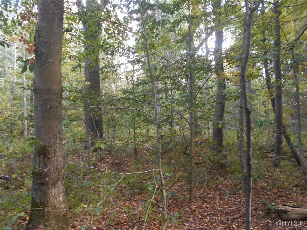 Irish Hill Road, Ellicottville, New York 14731, Ellicottville, New York 14731, ,Land,For Sale,Irish Hill Road, Ellicottville, New York 14731,0,B1646644