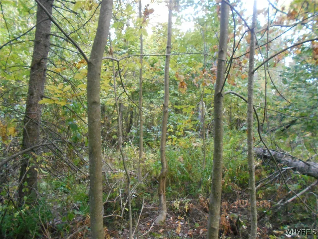 Irish Hill Road, Ellicottville, New York 14731, Ellicottville, New York 14731, ,Land,For Sale,Irish Hill Road, Ellicottville, New York 14731,0,B1646644