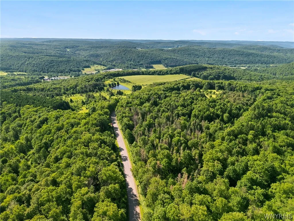 Irish Hill Road, Ellicottville, New York 14731, Ellicottville, New York 14731, ,Land,For Sale,Irish Hill Road, Ellicottville, New York 14731,0,B1646644