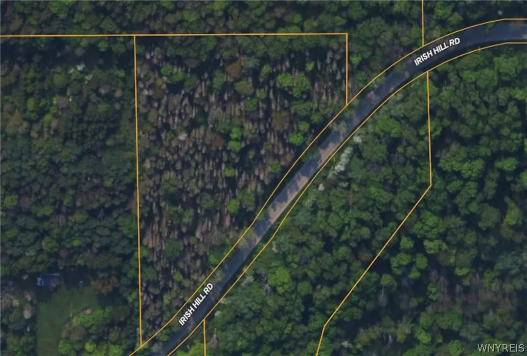 Irish Hill Road, Ellicottville, New York 14731, Ellicottville, New York 14731, ,Land,For Sale,Irish Hill Road, Ellicottville, New York 14731,0,B1646644