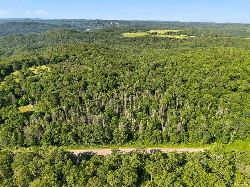 Irish Hill Road, Ellicottville, New York 14731, Ellicottville, New York 14731, ,Land,For Sale,Irish Hill Road, Ellicottville, New York 14731,0,B1646644