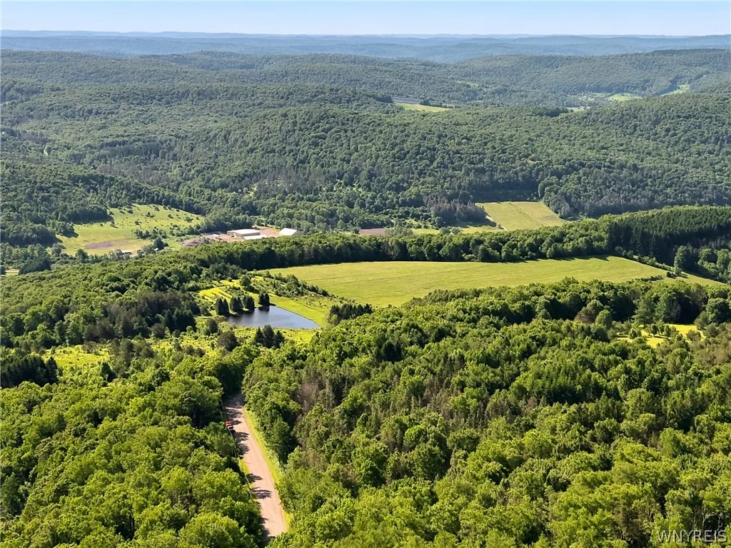 Irish Hill Road, Ellicottville, New York 14731, Ellicottville, New York 14731, ,Land,For Sale,Irish Hill Road, Ellicottville, New York 14731,0,B1646644