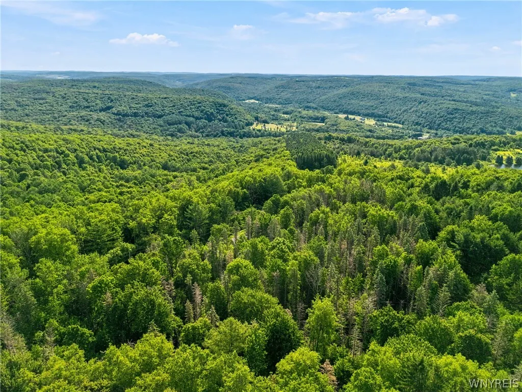 Irish Hill Road, Ellicottville, New York 14731, Ellicottville, New York 14731, ,Land,For Sale,Irish Hill Road, Ellicottville, New York 14731,0,B1646644