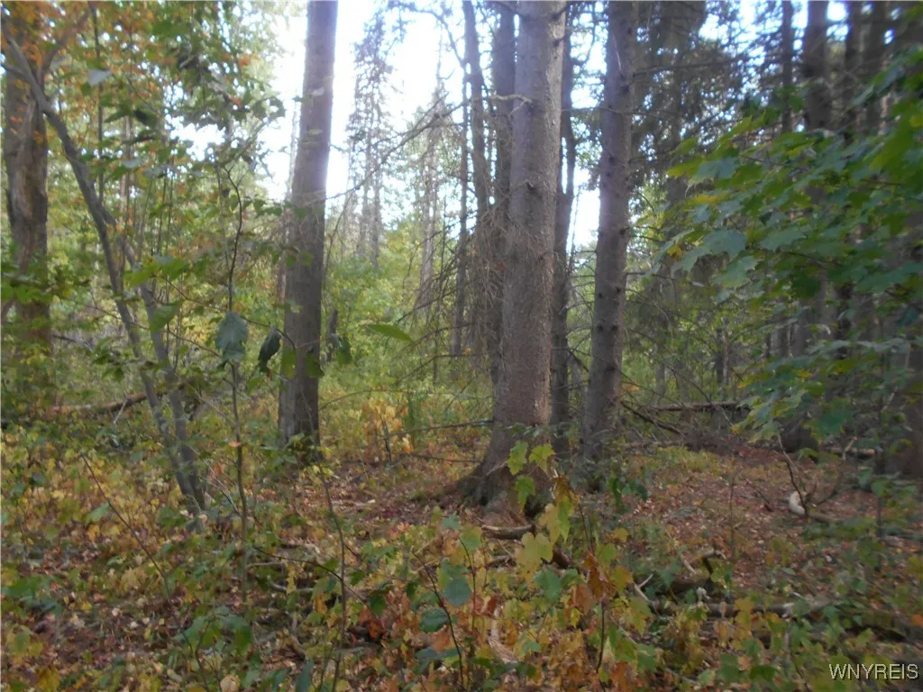 Irish Hill Road, Ellicottville, New York 14731, Ellicottville, New York 14731, ,Land,For Sale,Irish Hill Road, Ellicottville, New York 14731,0,B1646644