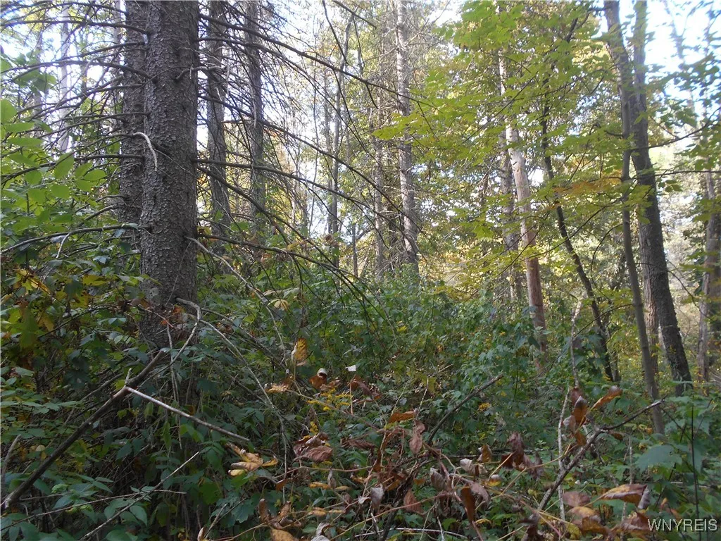 Irish Hill Road, Ellicottville, New York 14731, Ellicottville, New York 14731, ,Land,For Sale,Irish Hill Road, Ellicottville, New York 14731,0,B1646644