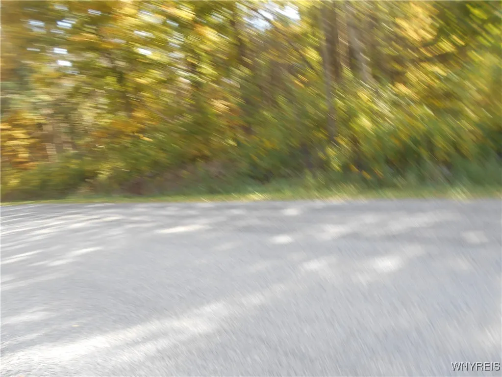 Irish Hill Road, Ellicottville, New York 14731, Ellicottville, New York 14731, ,Land,For Sale,Irish Hill Road, Ellicottville, New York 14731,0,B1646644