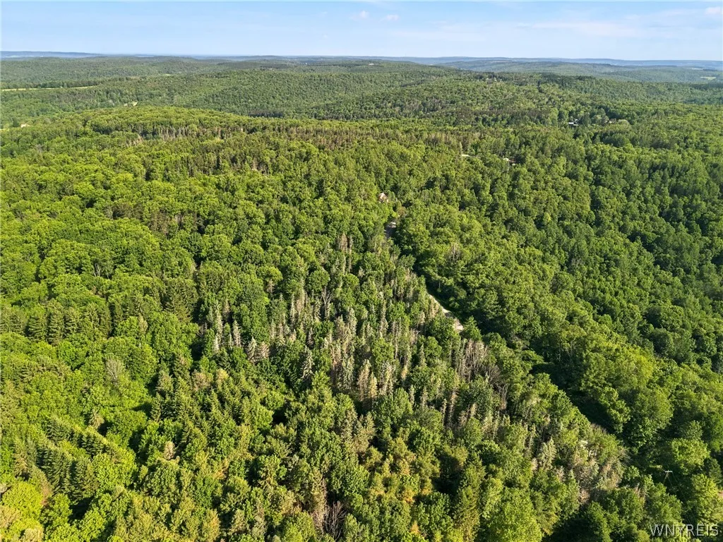 Irish Hill Road, Ellicottville, New York 14731, Ellicottville, New York 14731, ,Land,For Sale,Irish Hill Road, Ellicottville, New York 14731,0,B1646644