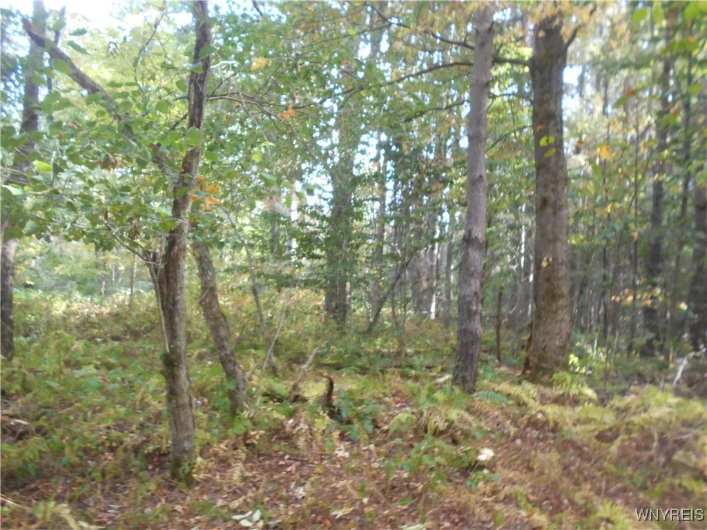 Irish Hill Road, Ellicottville, New York 14731, Ellicottville, New York 14731, ,Land,For Sale,Irish Hill Road, Ellicottville, New York 14731,0,B1646644