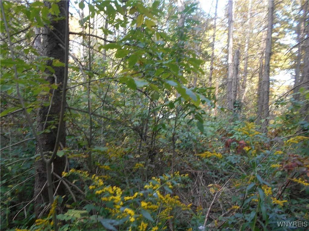 Irish Hill Road, Ellicottville, New York 14731, Ellicottville, New York 14731, ,Land,For Sale,Irish Hill Road, Ellicottville, New York 14731,0,B1646644