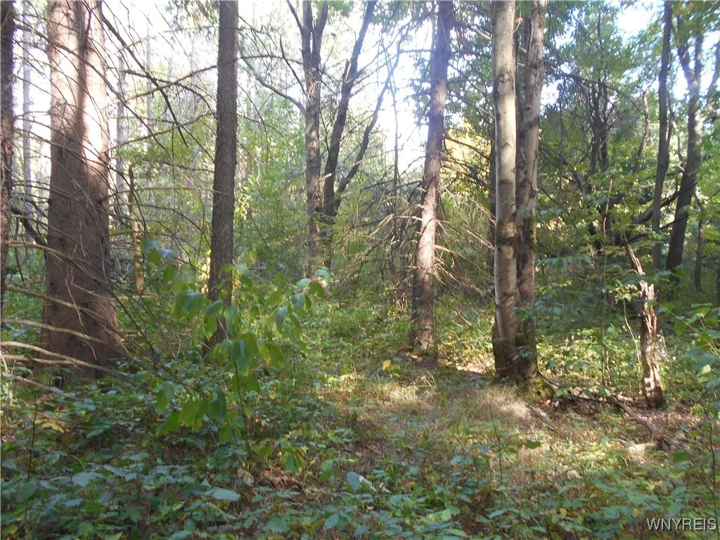 Irish Hill Road, Ellicottville, New York 14731, Ellicottville, New York 14731, ,Land,For Sale,Irish Hill Road, Ellicottville, New York 14731,0,B1646644