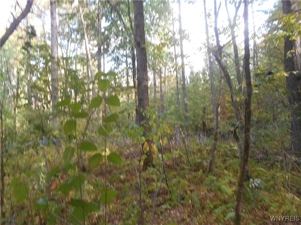 Irish Hill Road, Ellicottville, New York 14731, Ellicottville, New York 14731, ,Land,For Sale,Irish Hill Road, Ellicottville, New York 14731,0,B1646644