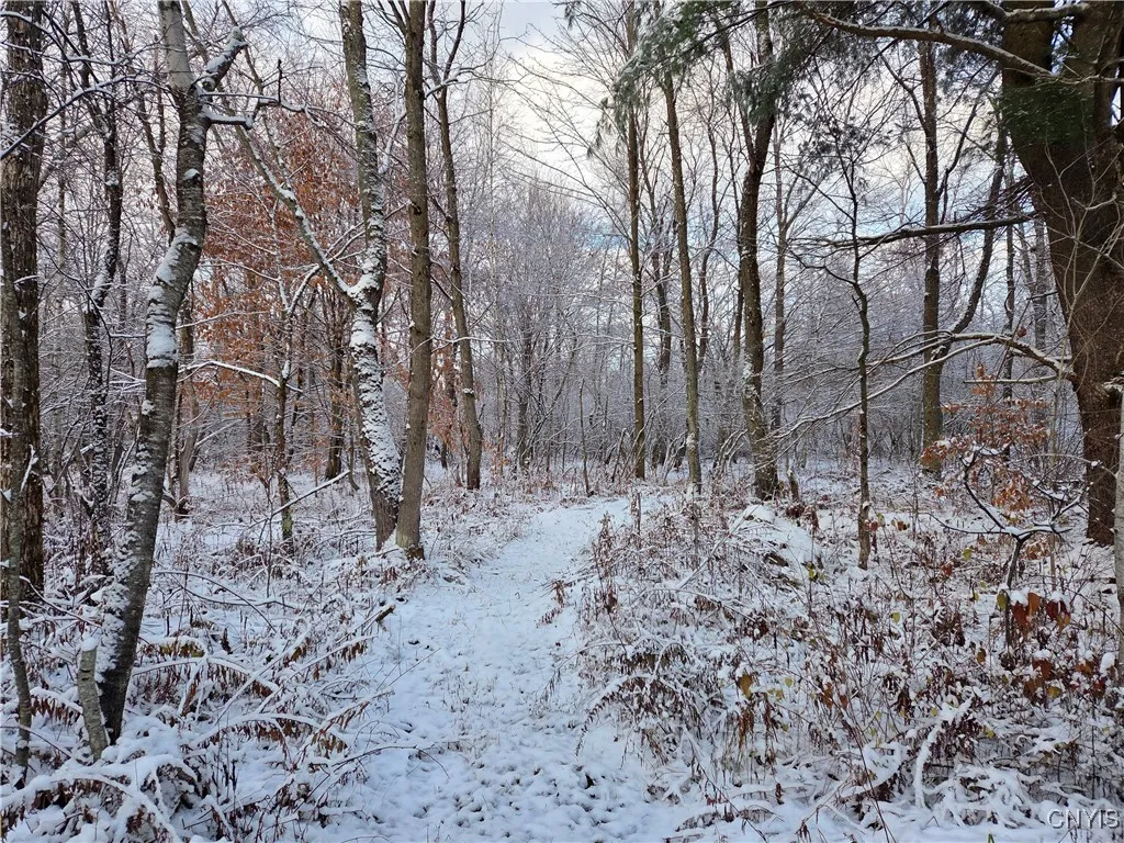 Co Rte 42, Wilna, New York 13619, Wilna, New York 13619, ,Land,For Sale,Co Rte 42, Wilna, New York 13619,0,S1650459