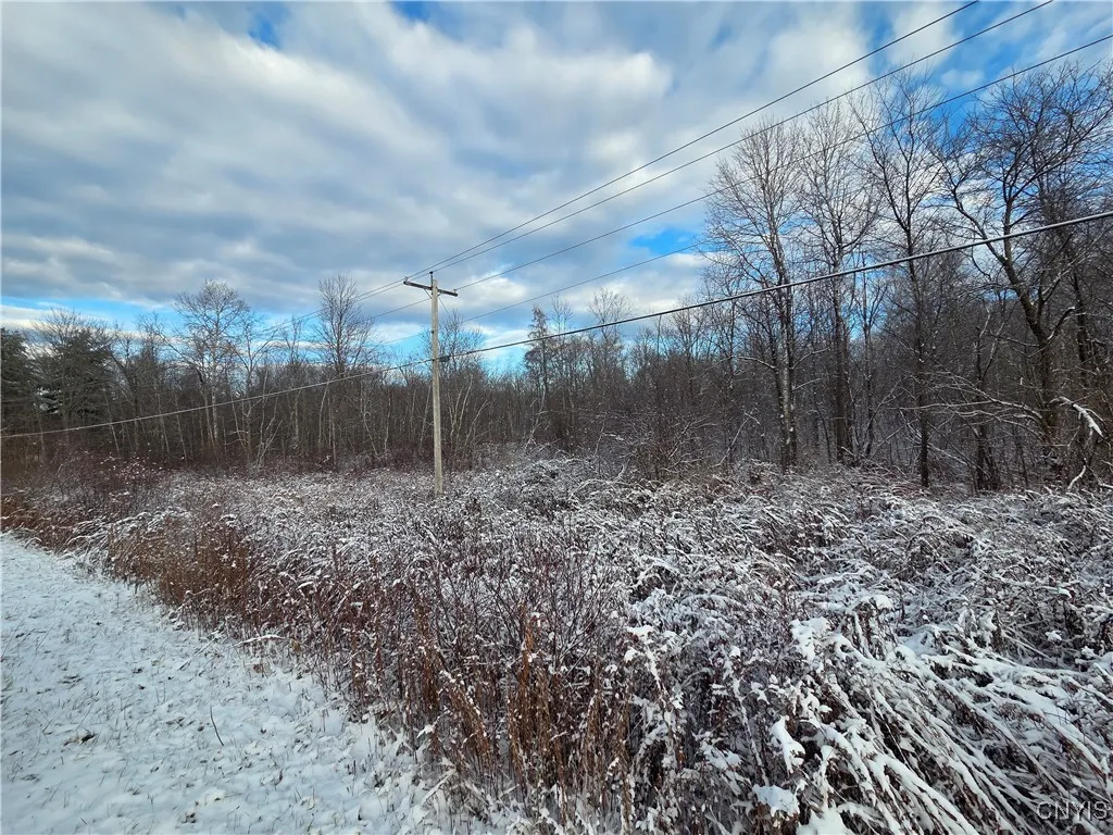 Co Rte 42, Wilna, New York 13619, Wilna, New York 13619, ,Land,For Sale,Co Rte 42, Wilna, New York 13619,0,S1650459