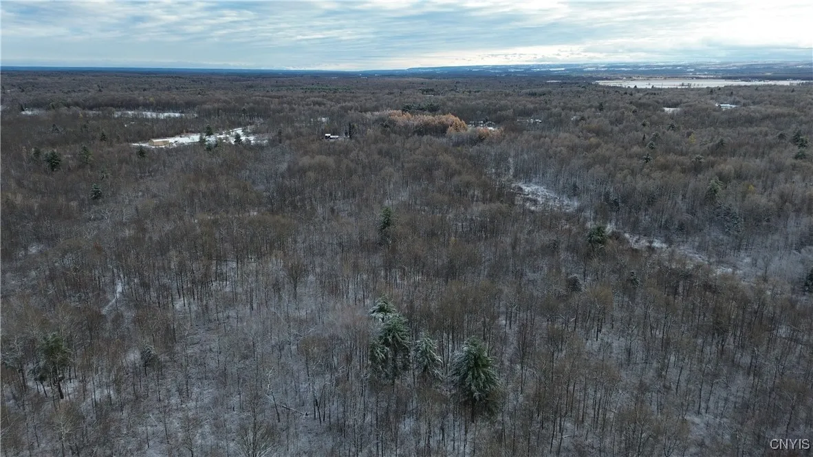 Co Rte 42, Wilna, New York 13619, Wilna, New York 13619, ,Land,For Sale,Co Rte 42, Wilna, New York 13619,0,S1650459