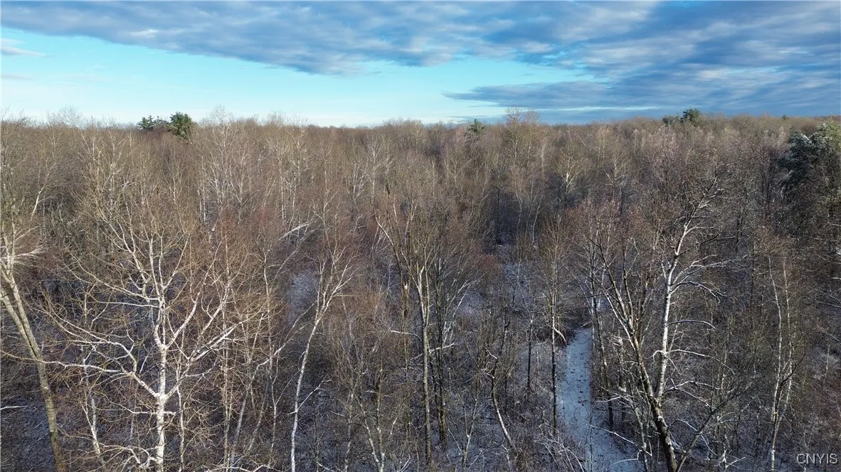 Co Rte 42, Wilna, New York 13619, Wilna, New York 13619, ,Land,For Sale,Co Rte 42, Wilna, New York 13619,0,S1650459