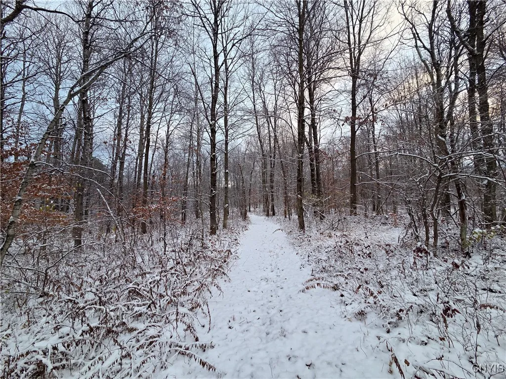 Co Rte 42, Wilna, New York 13619, Wilna, New York 13619, ,Land,For Sale,Co Rte 42, Wilna, New York 13619,0,S1650459