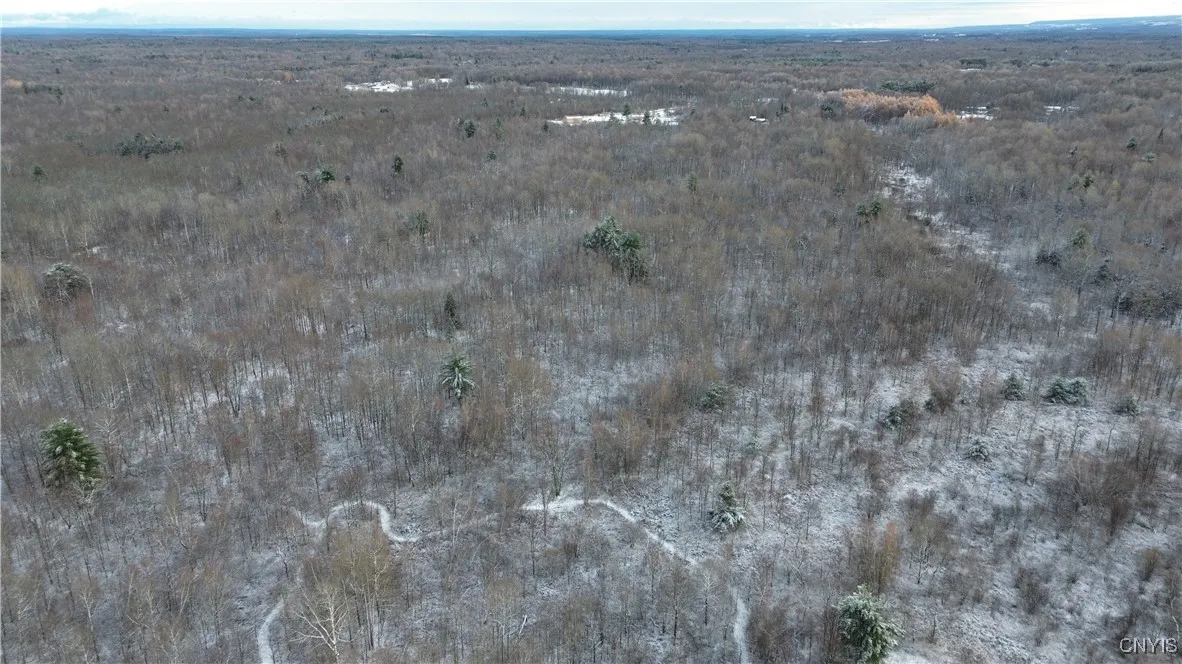 Co Rte 42, Wilna, New York 13619, Wilna, New York 13619, ,Land,For Sale,Co Rte 42, Wilna, New York 13619,0,S1650459