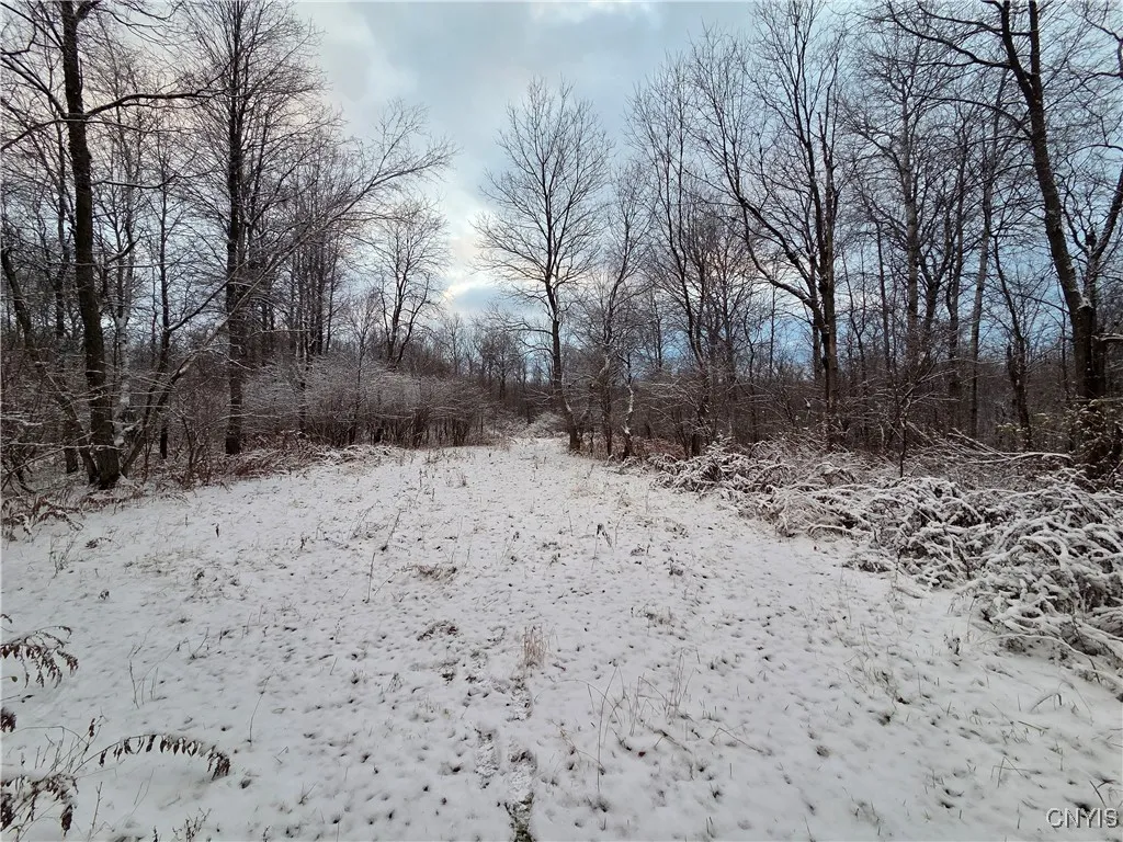 Co Rte 42, Wilna, New York 13619, Wilna, New York 13619, ,Land,For Sale,Co Rte 42, Wilna, New York 13619,0,S1650459