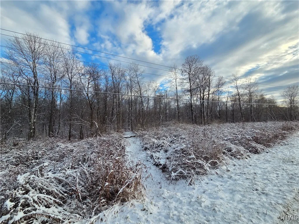 Co Rte 42, Wilna, New York 13619, Wilna, New York 13619, ,Land,For Sale,Co Rte 42, Wilna, New York 13619,0,S1650459