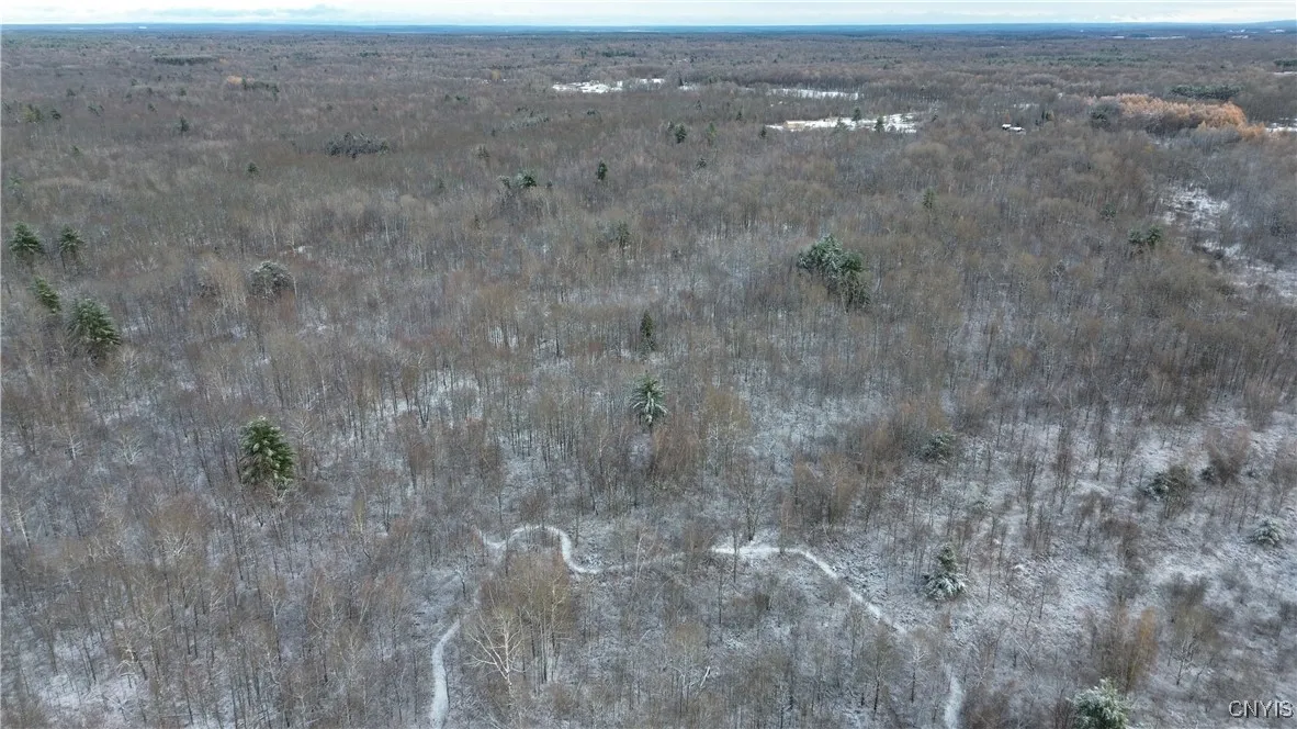 Co Rte 42, Wilna, New York 13619, Wilna, New York 13619, ,Land,For Sale,Co Rte 42, Wilna, New York 13619,0,S1650459