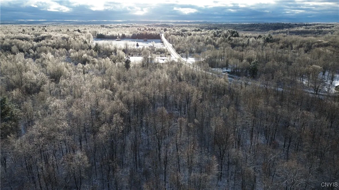 Co Rte 42, Wilna, New York 13619, Wilna, New York 13619, ,Land,For Sale,Co Rte 42, Wilna, New York 13619,0,S1650459