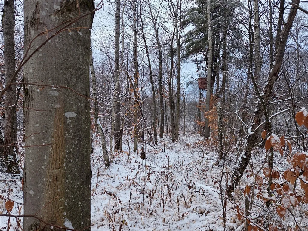 Co Rte 42, Wilna, New York 13619, Wilna, New York 13619, ,Land,For Sale,Co Rte 42, Wilna, New York 13619,0,S1650459