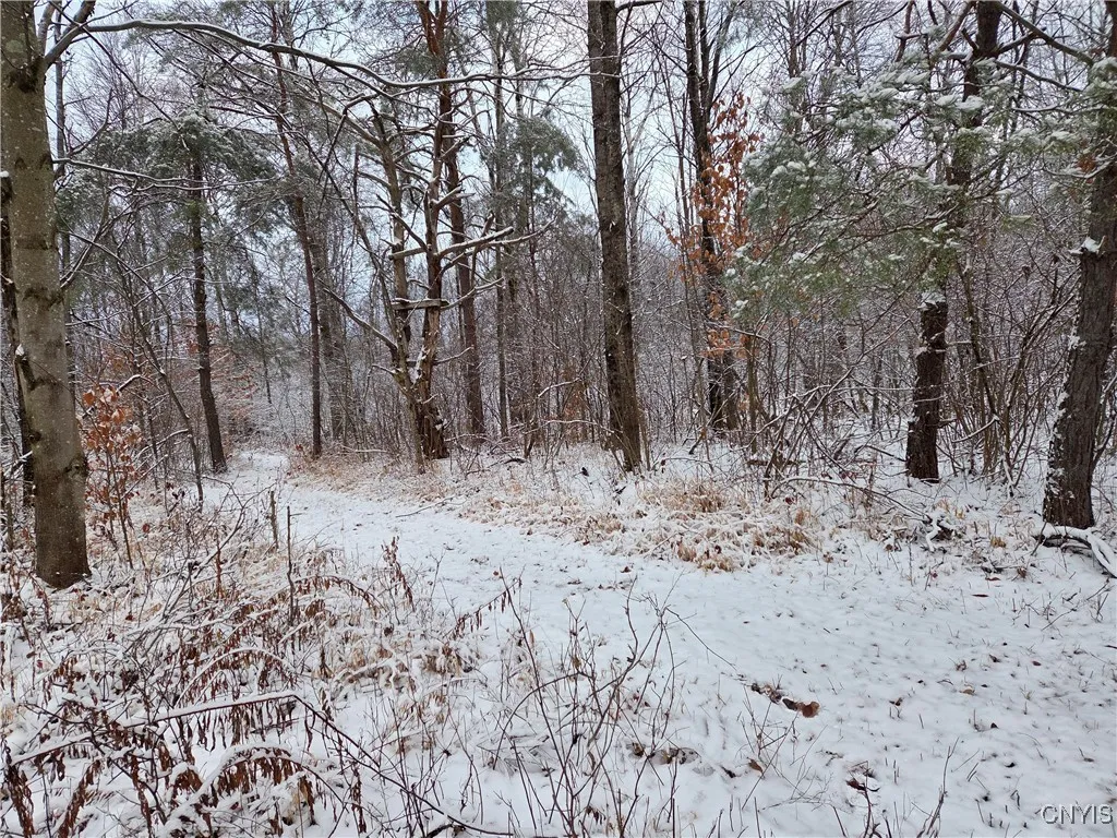 Co Rte 42, Wilna, New York 13619, Wilna, New York 13619, ,Land,For Sale,Co Rte 42, Wilna, New York 13619,0,S1650459