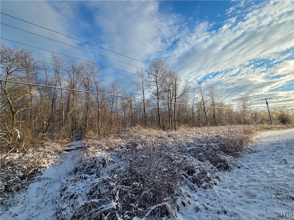 Co Rte 42, Wilna, New York 13619, Wilna, New York 13619, ,Land,For Sale,Co Rte 42, Wilna, New York 13619,0,S1650459