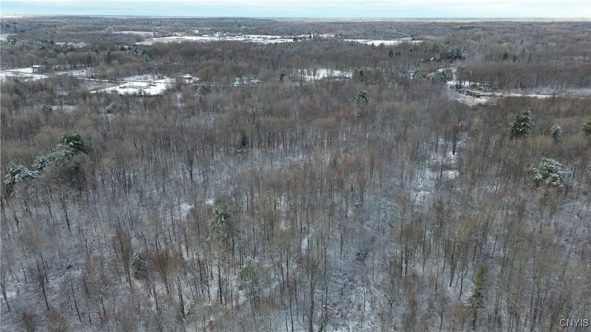 Co Rte 42, Wilna, New York 13619, Wilna, New York 13619, ,Land,For Sale,Co Rte 42, Wilna, New York 13619,0,S1650459