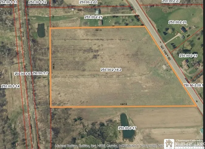 Route 60, Charlotte, New York 14782, Charlotte, New York 14782, ,Land,For Sale,Route 60, Charlotte, New York 14782,0,R1650699