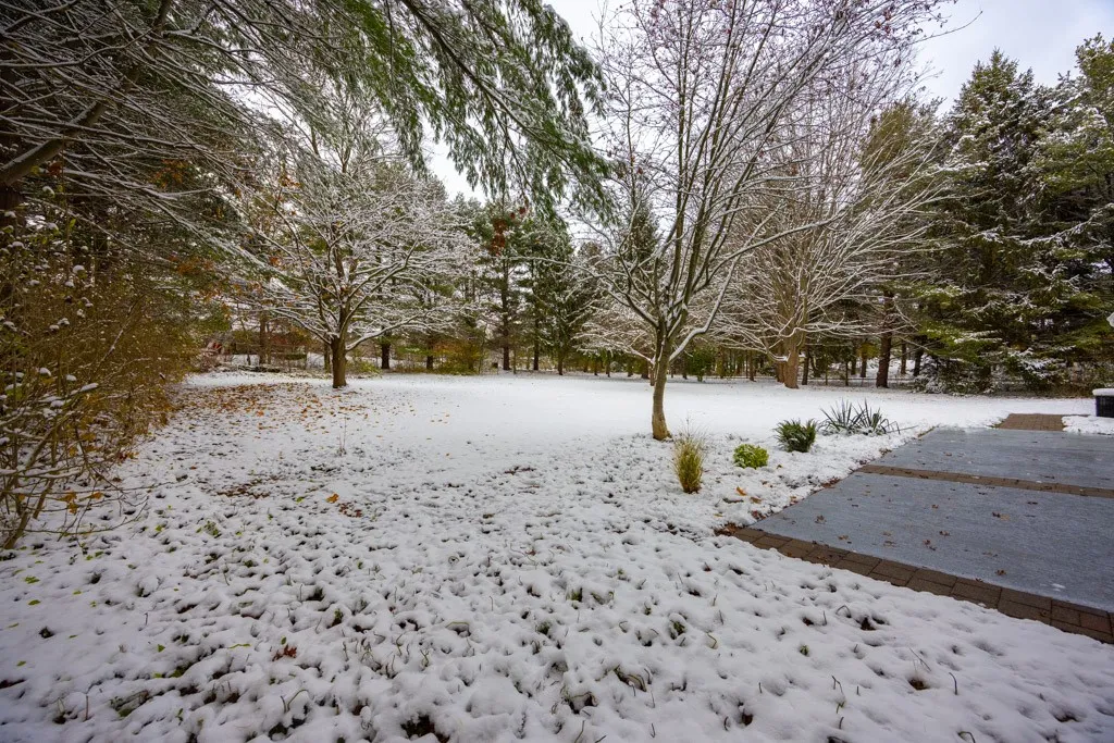 181 Widger Road, Ogden, New York 14559, Ogden, New York 14559, 3 Bedrooms Bedrooms, 6 Rooms Rooms,1 BathroomBathrooms,Residential,For Sale,181 Widger Road, Ogden, New York 14559,0,R1650600