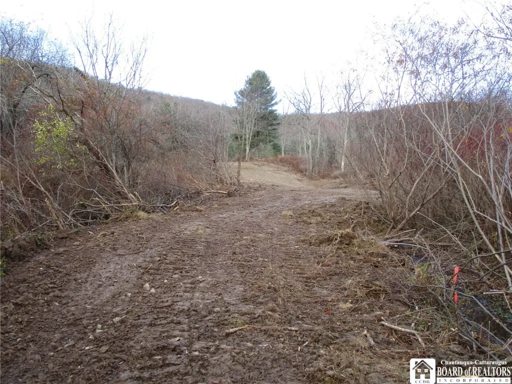 Salt Rising Road, Genesee, New York 14715, Genesee, New York 14715, ,Land,For Sale,Salt Rising Road, Genesee, New York 14715,0,R1650682