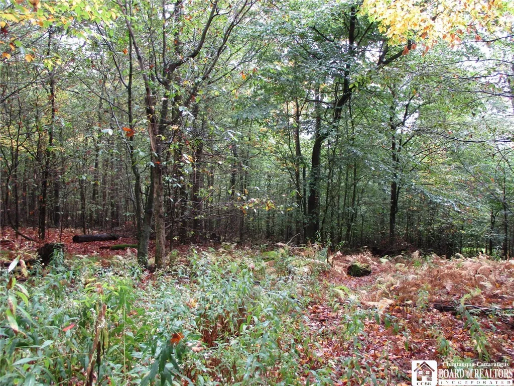 Salt Rising Road, Genesee, New York 14715, Genesee, New York 14715, ,Land,For Sale,Salt Rising Road, Genesee, New York 14715,0,R1650682