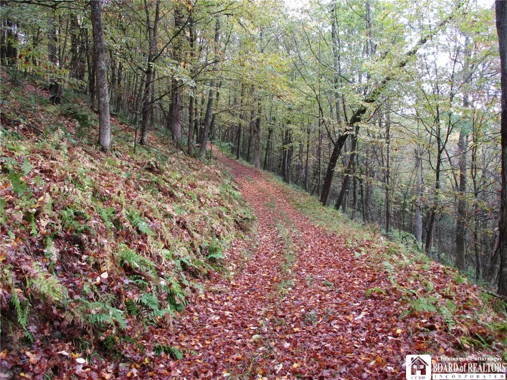 Salt Rising Road, Genesee, New York 14715, Genesee, New York 14715, ,Land,For Sale,Salt Rising Road, Genesee, New York 14715,0,R1650682