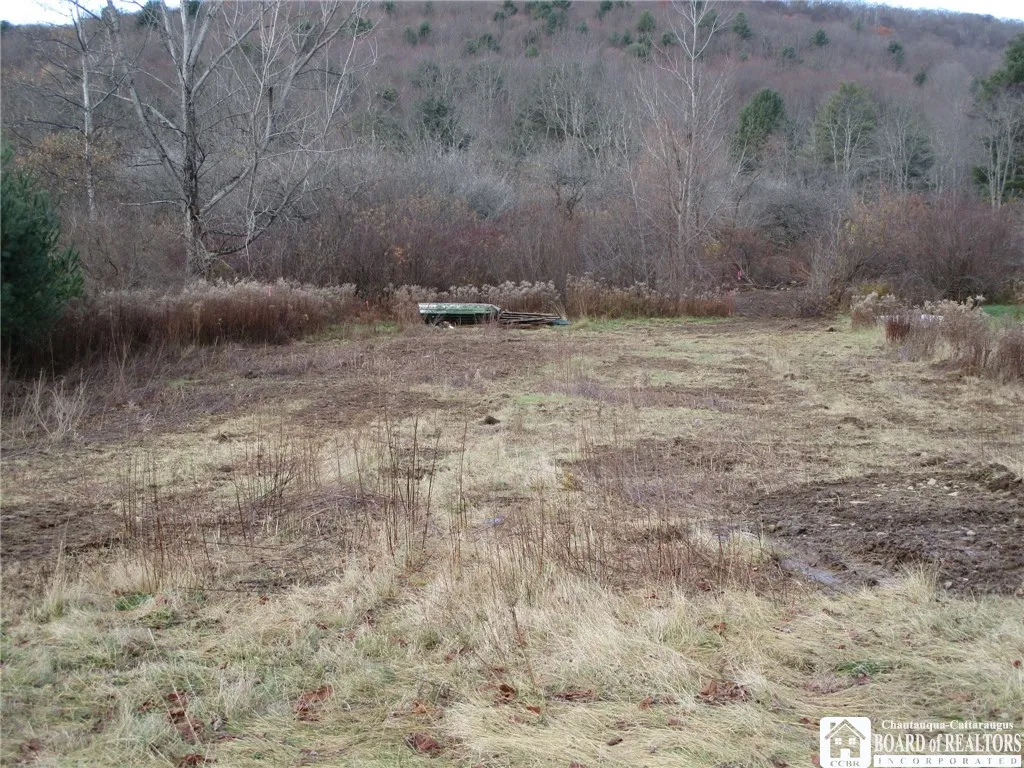 Salt Rising Road, Genesee, New York 14715, Genesee, New York 14715, ,Land,For Sale,Salt Rising Road, Genesee, New York 14715,0,R1650682