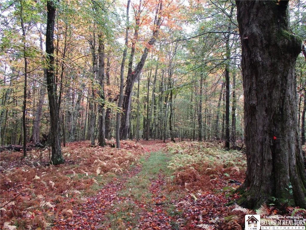 Salt Rising Road, Genesee, New York 14715, Genesee, New York 14715, ,Land,For Sale,Salt Rising Road, Genesee, New York 14715,0,R1650682