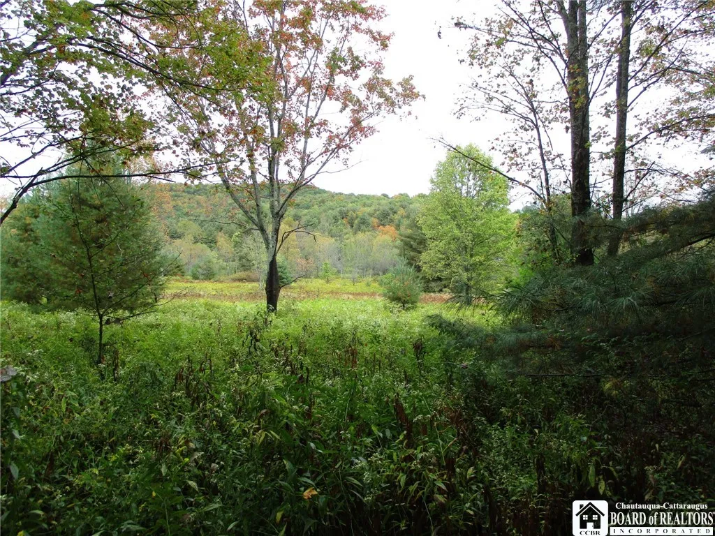 Salt Rising Road, Genesee, New York 14715, Genesee, New York 14715, ,Land,For Sale,Salt Rising Road, Genesee, New York 14715,0,R1650682