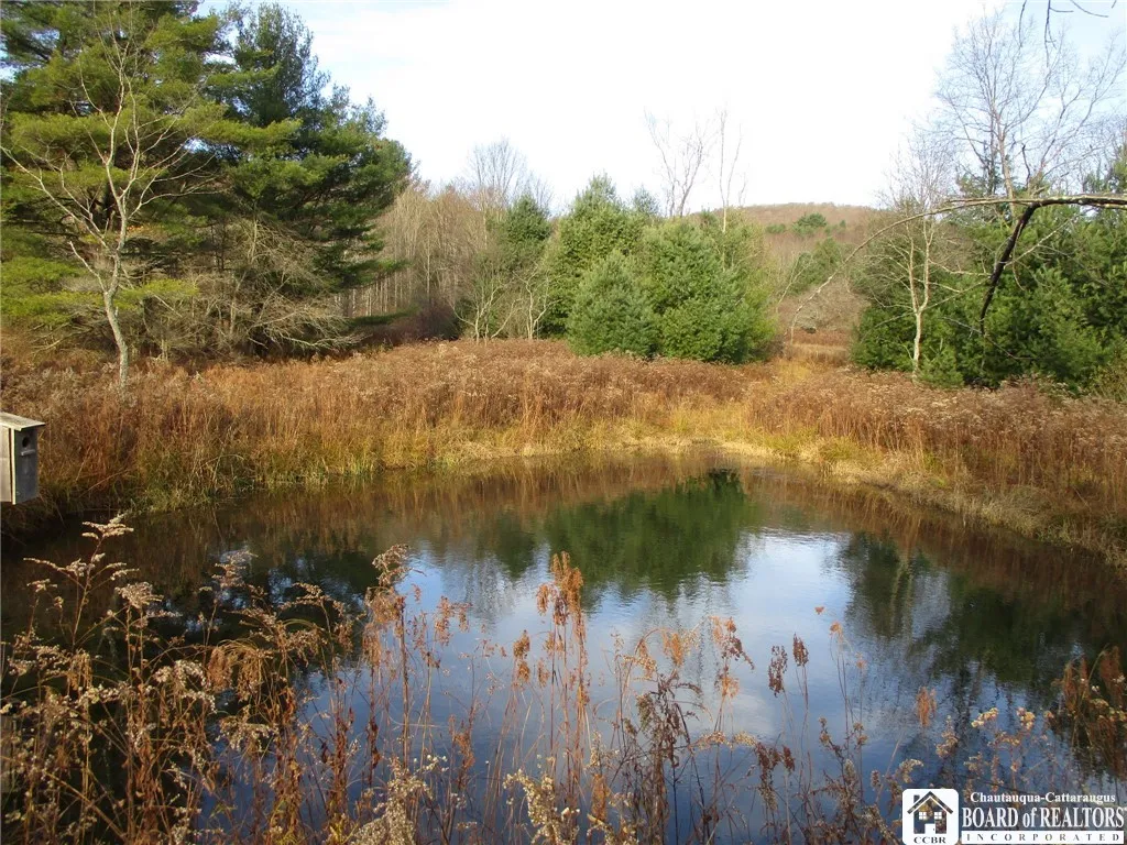 Salt Rising Road, Genesee, New York 14715, Genesee, New York 14715, ,Land,For Sale,Salt Rising Road, Genesee, New York 14715,0,R1650682