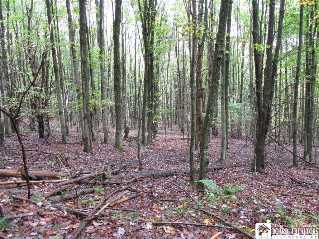 Salt Rising Road, Genesee, New York 14715, Genesee, New York 14715, ,Land,For Sale,Salt Rising Road, Genesee, New York 14715,0,R1650682